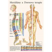 Schéma - Meridiány a Dornova terapia