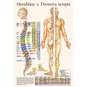 Schéma - Meridiány a Dornova terapia