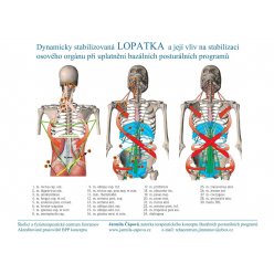 Schéma - Dynamicky stabilizovaná lopatka